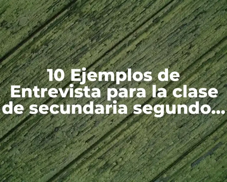 10 Ejemplos de Entrevista para la clase de secundaria segundo grado
