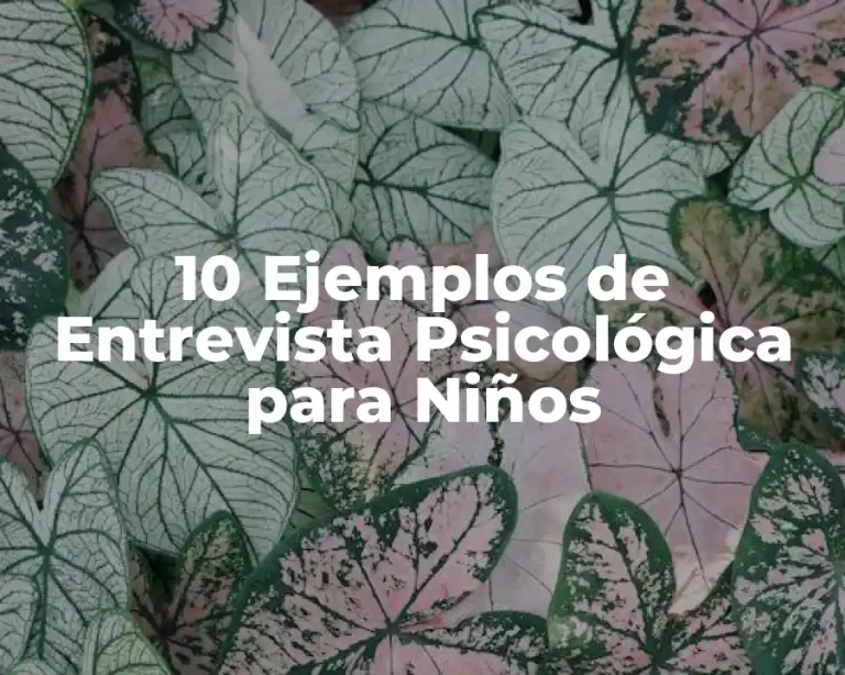 10 Ejemplos de Entrevista Psicológica para Niños