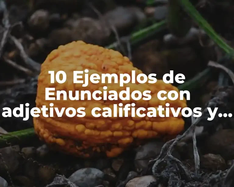10 Ejemplos de Enunciados con adjetivos calificativos y verbos