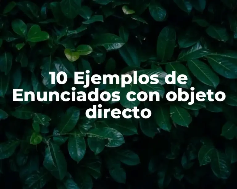 10 Ejemplos de Enunciados con objeto directo
