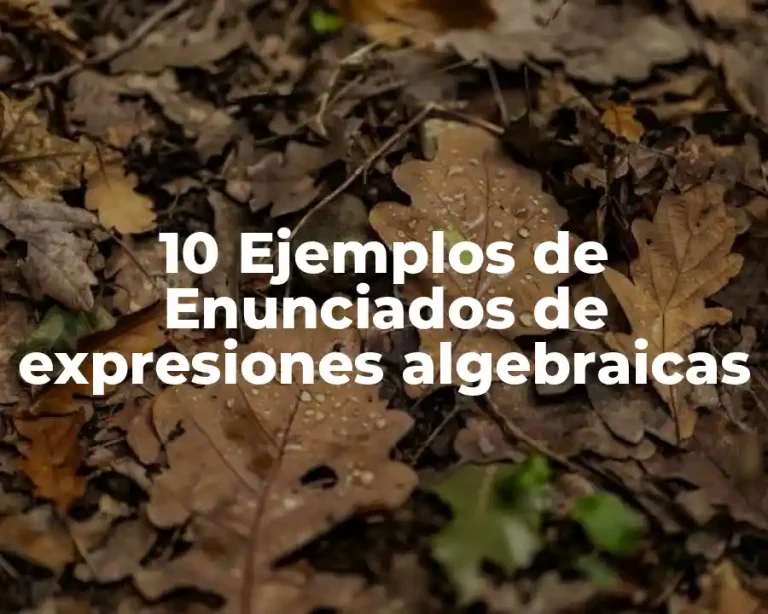 10 Ejemplos de Enunciados de expresiones algebraicas