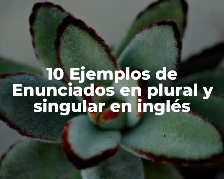 10 Ejemplos de Enunciados en plural y singular en inglés