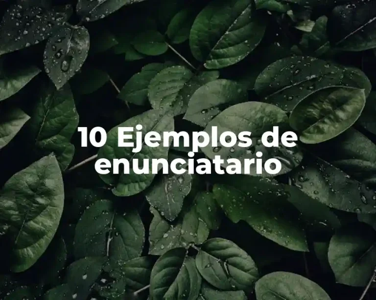10 Ejemplos de enunciatario