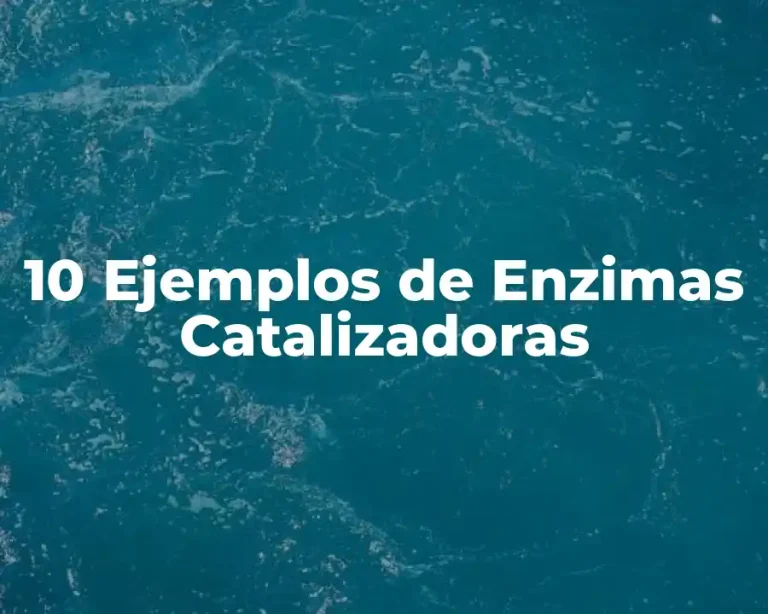 10 Ejemplos de Enzimas Catalizadoras