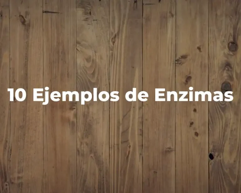 10 Ejemplos de Enzimas