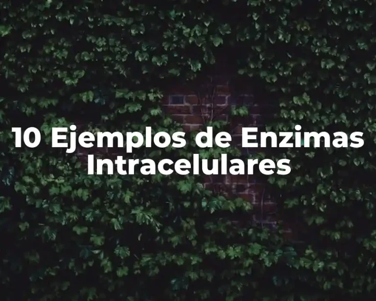 10 Ejemplos de Enzimas Intracelulares