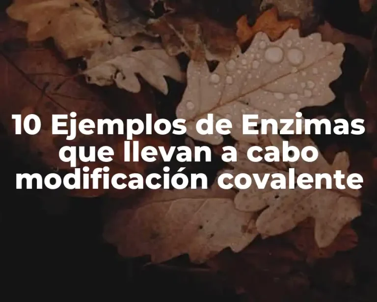 10 Ejemplos de Enzimas que llevan a cabo modificación covalente