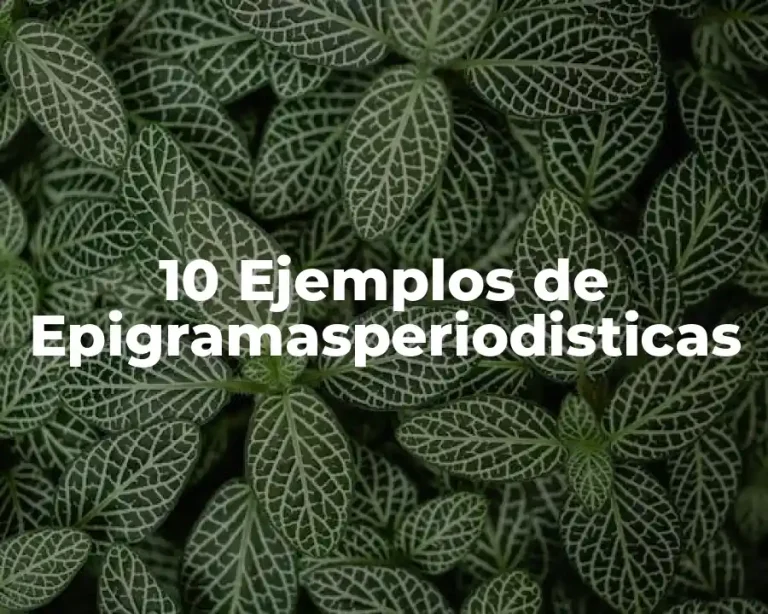 10 Ejemplos de Epigramasperiodisticas