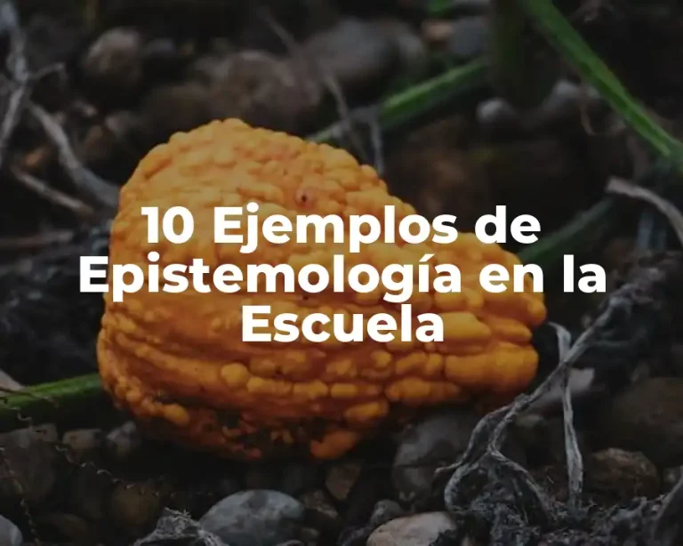 10 Ejemplos de Epistemología en la Escuela