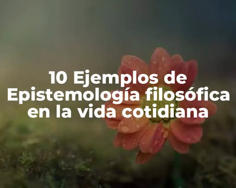 10 Ejemplos de Epistemología filosófica en la vida cotidiana