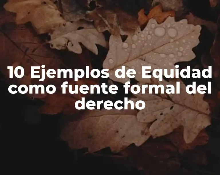 10 Ejemplos de Equidad como fuente formal del derecho