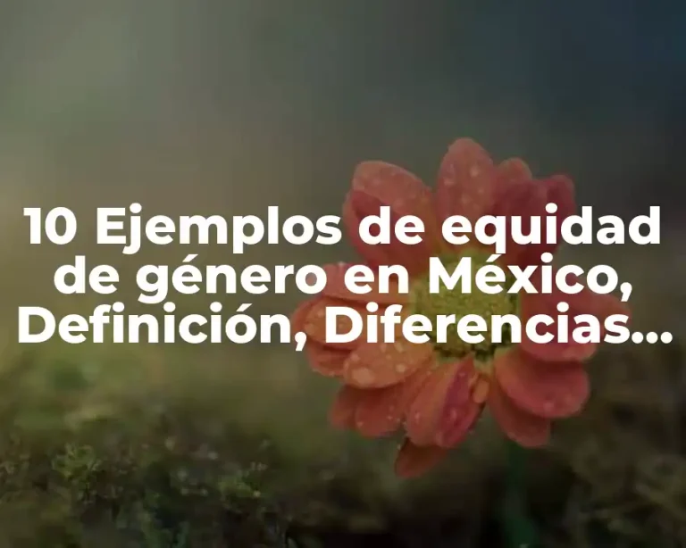 10 Ejemplos de equidad de género en México, Definición, Diferencias y para que sirve