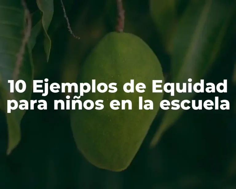 10 Ejemplos de Equidad para niños en la escuela