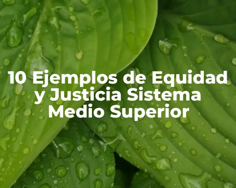 10 Ejemplos de Equidad y Justicia Sistema Medio Superior