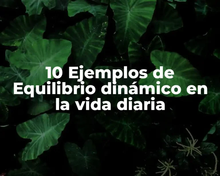 10 Ejemplos de Equilibrio dinámico en la vida diaria