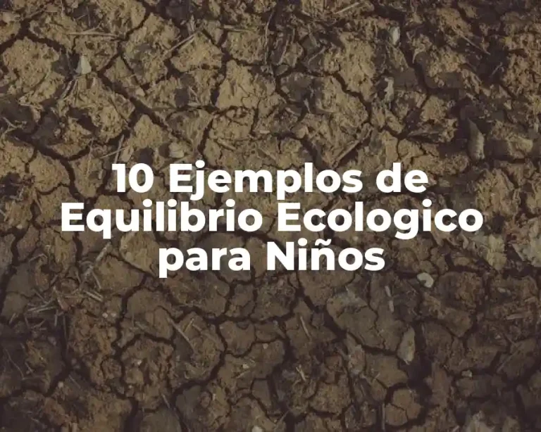 10 Ejemplos de Equilibrio Ecologico para Niños