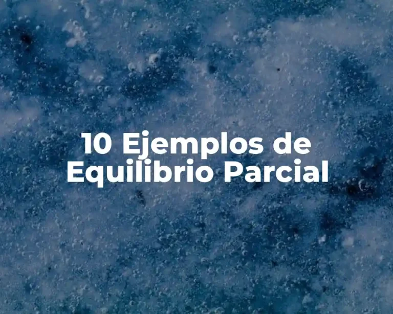 10 Ejemplos de Equilibrio Parcial