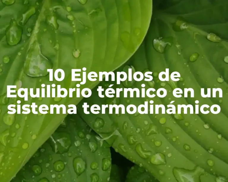 10 Ejemplos de Equilibrio térmico en un sistema termodinámico