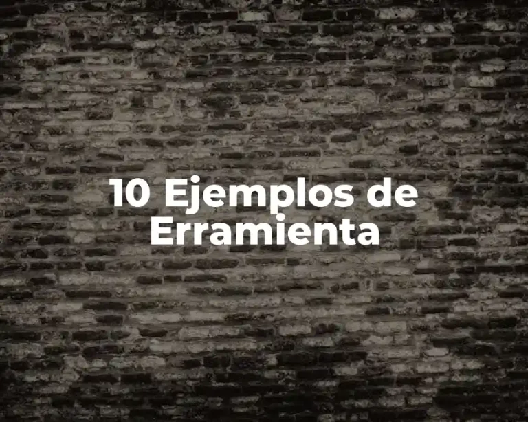 10 Ejemplos de Erramienta