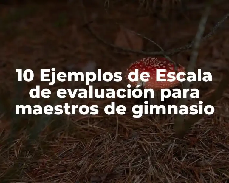10 Ejemplos de Escala de evaluación para maestros de gimnasio