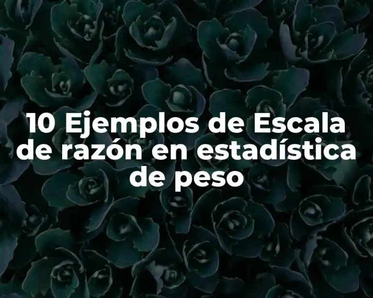 10 Ejemplos de Escala de razón en estadística de peso