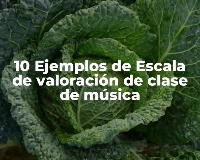 10 Ejemplos de Escala de valoración de clase de música
