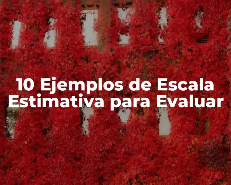 10 Ejemplos de Escala Estimativa para Evaluar