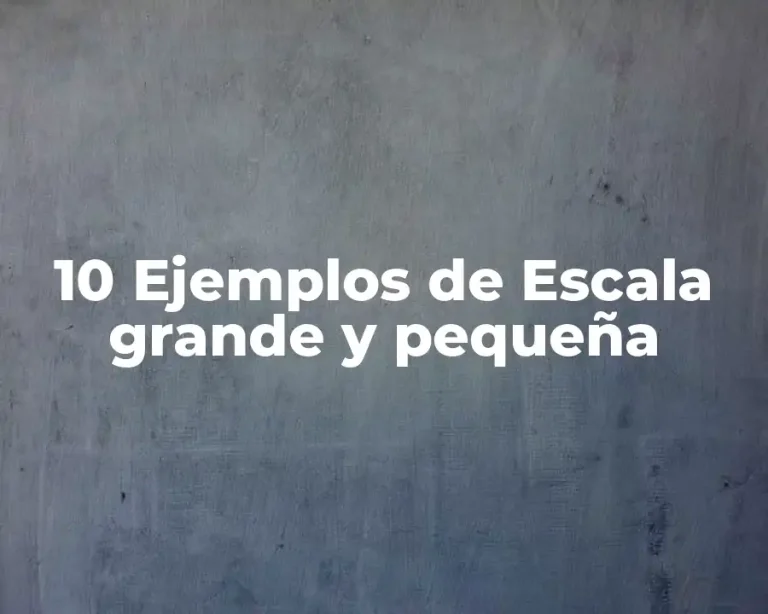 10 Ejemplos de Escala grande y pequeña