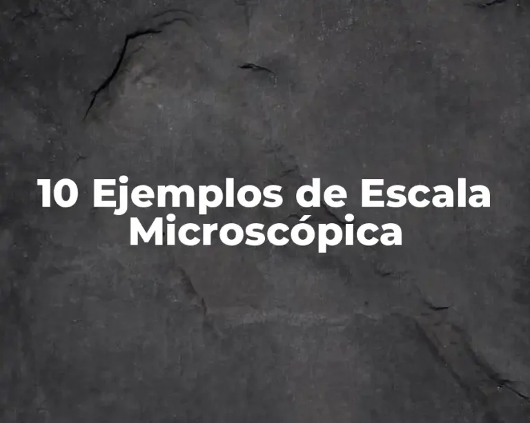 10 Ejemplos de Escala Microscópica