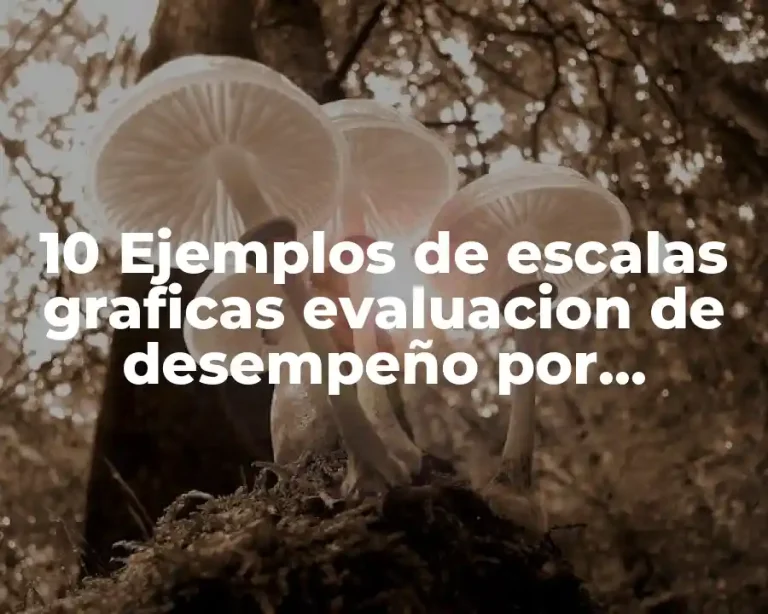 10 Ejemplos de escalas graficas evaluacion de desempeño por competencias