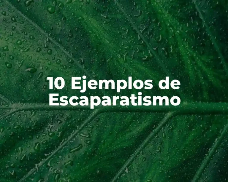 10 Ejemplos de Escaparatismo