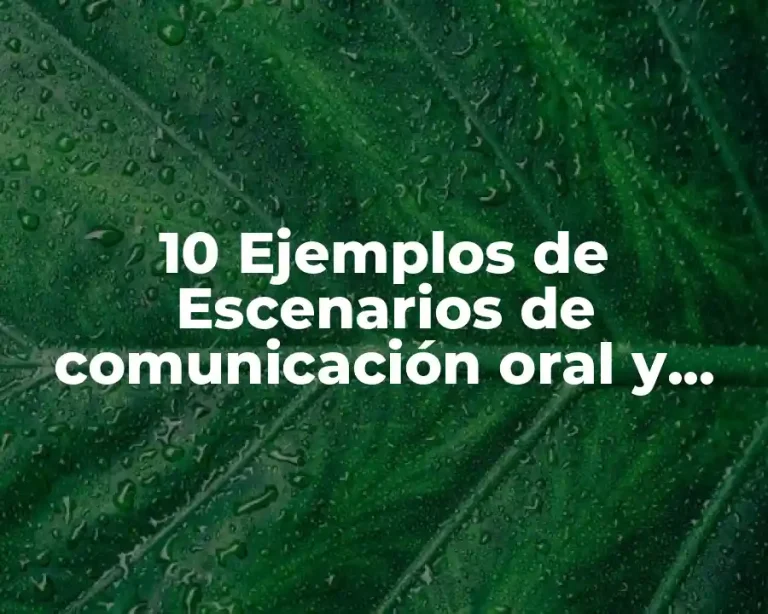10 Ejemplos de Escenarios de comunicación oral y escrita