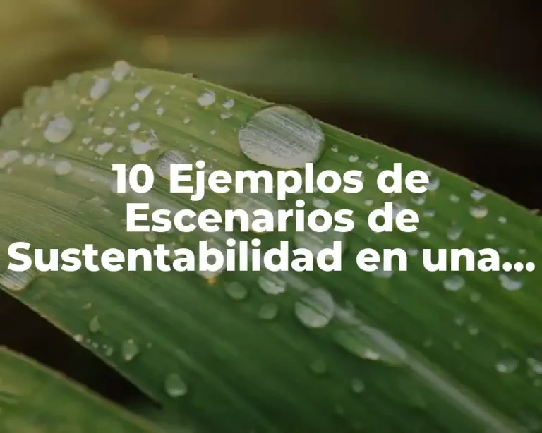 10 Ejemplos de Escenarios de Sustentabilidad en una Comunidad