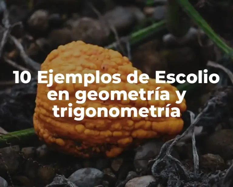 10 Ejemplos de Escolio en geometría y trigonometría