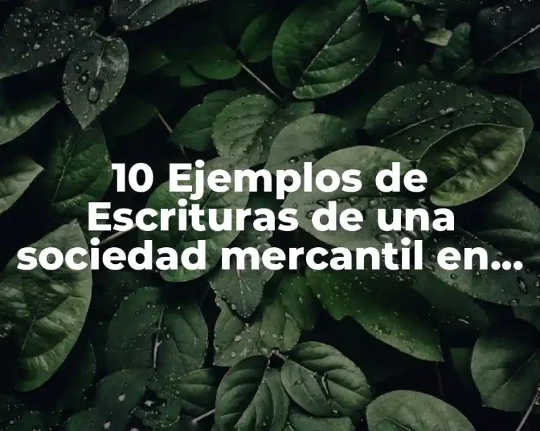 10 Ejemplos de Escrituras de una sociedad mercantil en Puerto Rico