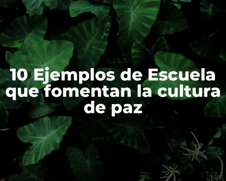 10 Ejemplos de Escuela que fomentan la cultura de paz