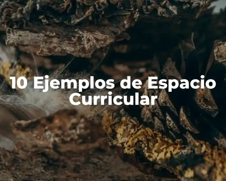10 Ejemplos de Espacio Curricular
