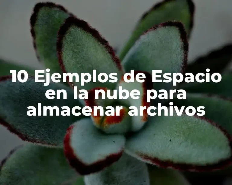 10 Ejemplos de Espacio en la nube para almacenar archivos