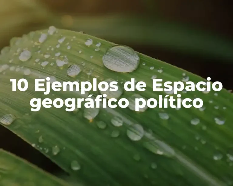 10 Ejemplos de Espacio geográfico político