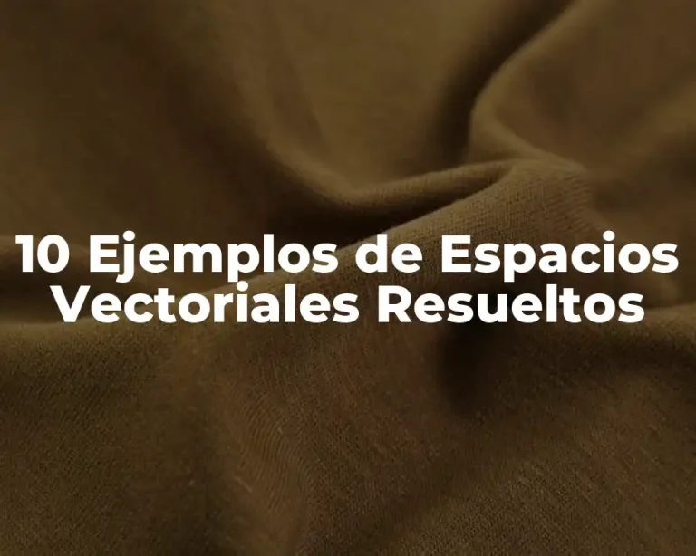 10 Ejemplos de Espacios Vectoriales Resueltos