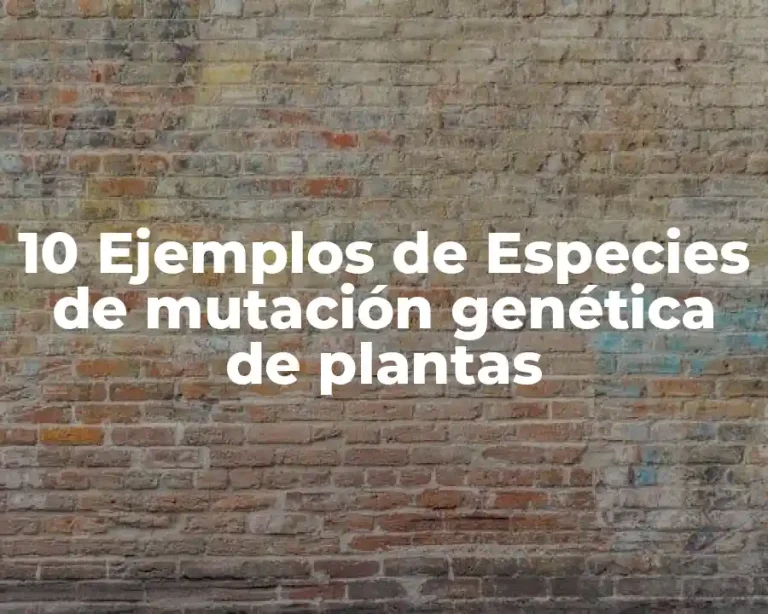 10 Ejemplos de Especies de mutación genética de plantas