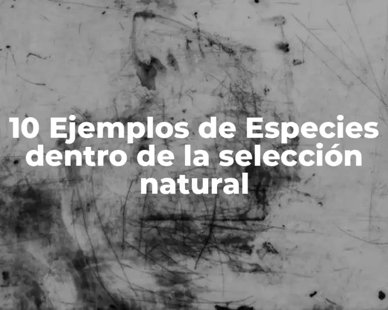 10 Ejemplos de Especies dentro de la selección natural