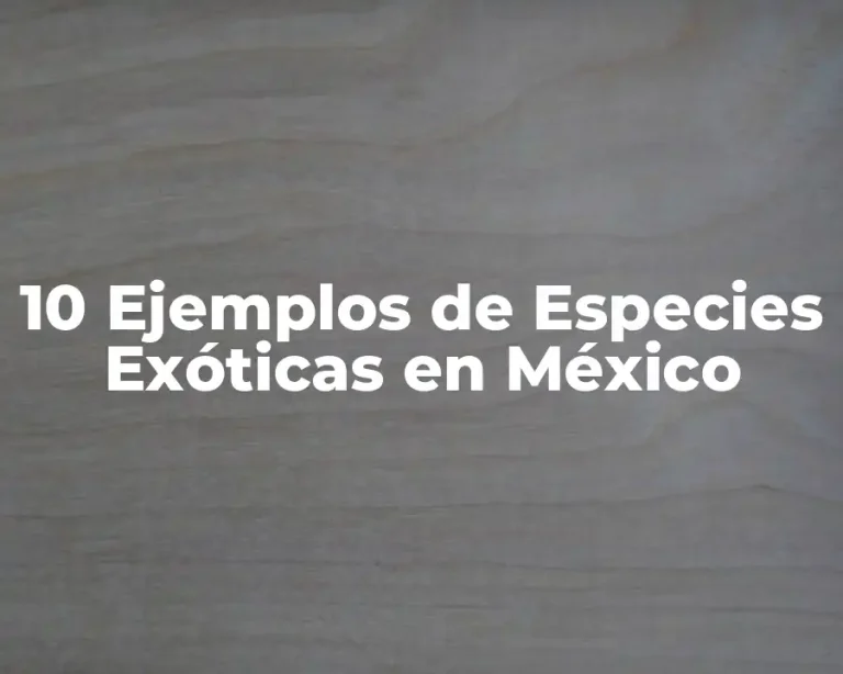 10 Ejemplos de Especies Exóticas en México