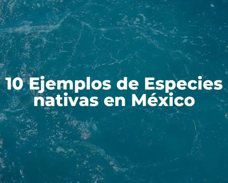 10 Ejemplos de Especies nativas en México
