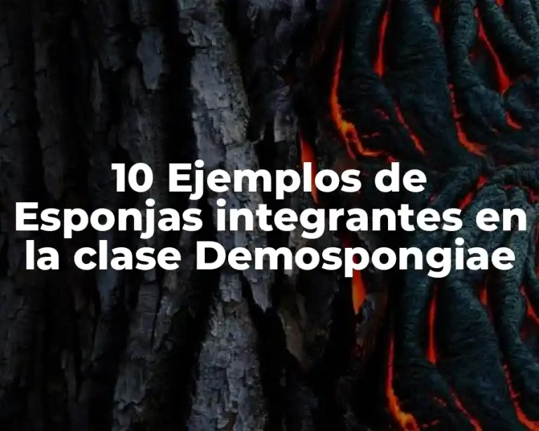 10 Ejemplos de Esponjas integrantes en la clase Demospongiae