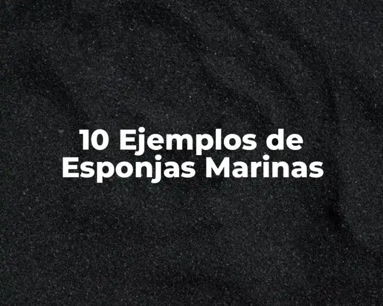 10 Ejemplos de Esponjas Marinas