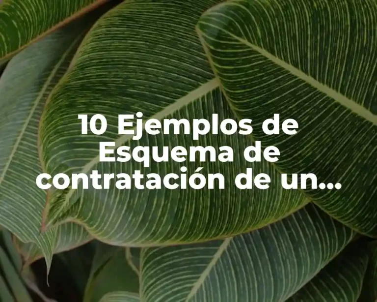 10 Ejemplos de Esquema de contratación de un despacho contable