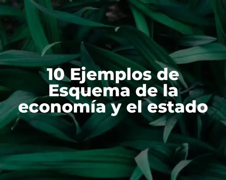 10 Ejemplos de Esquema de la economía y el estado