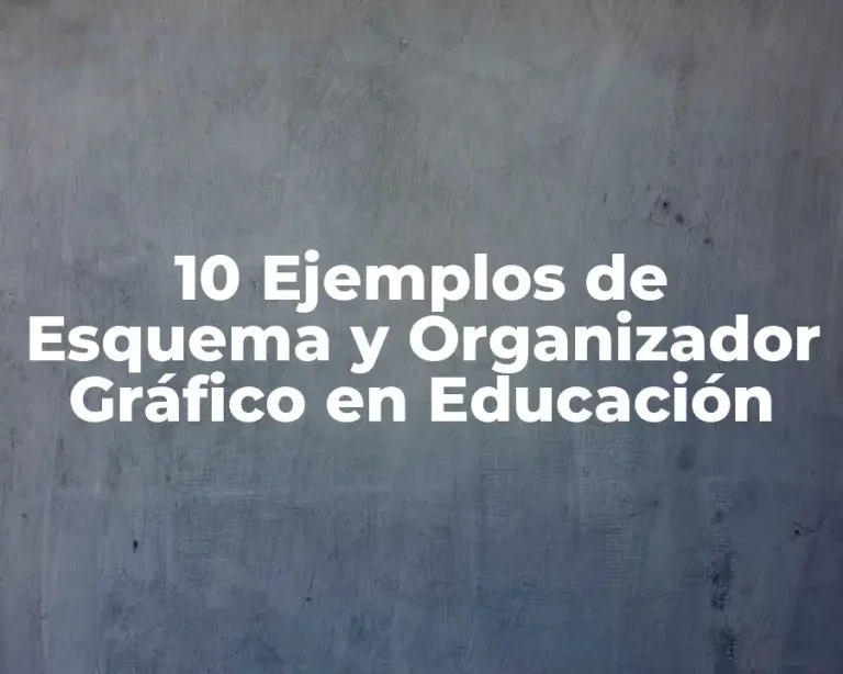 10 Ejemplos de Esquema y Organizador Gráfico en Educación