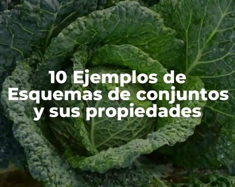10 Ejemplos de Esquemas de conjuntos y sus propiedades